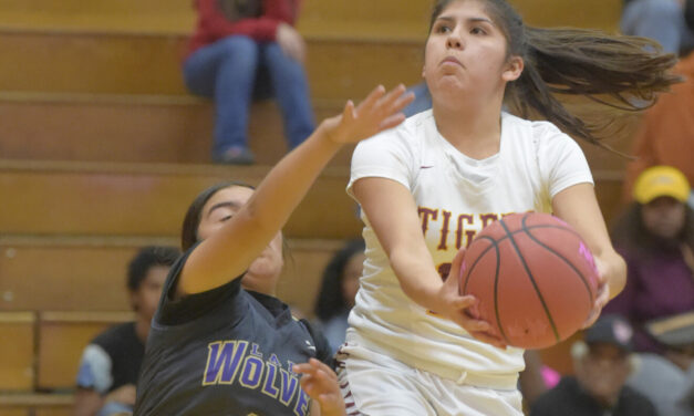 Lady Tiger basketball opens season with won over Livingston