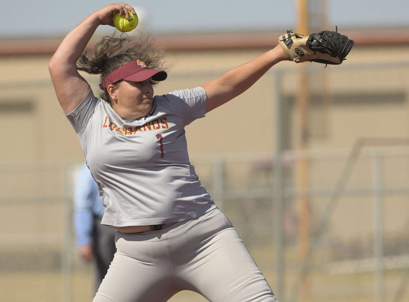 Tiger softball claims 2-1 win in playoffs                                    