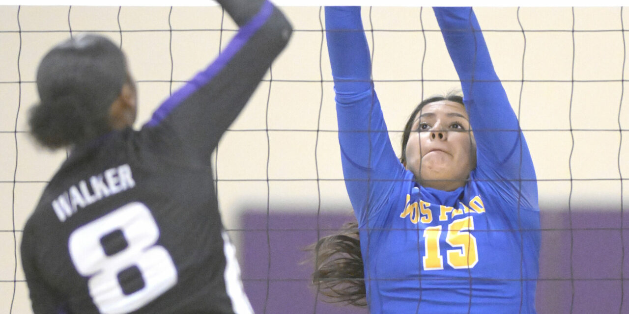 Pacheco High girls team volleyball wins twice in straight sets
