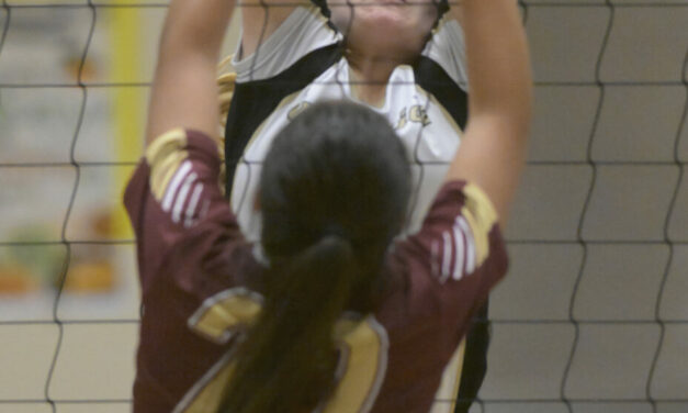 Creekside volleyball claims championship