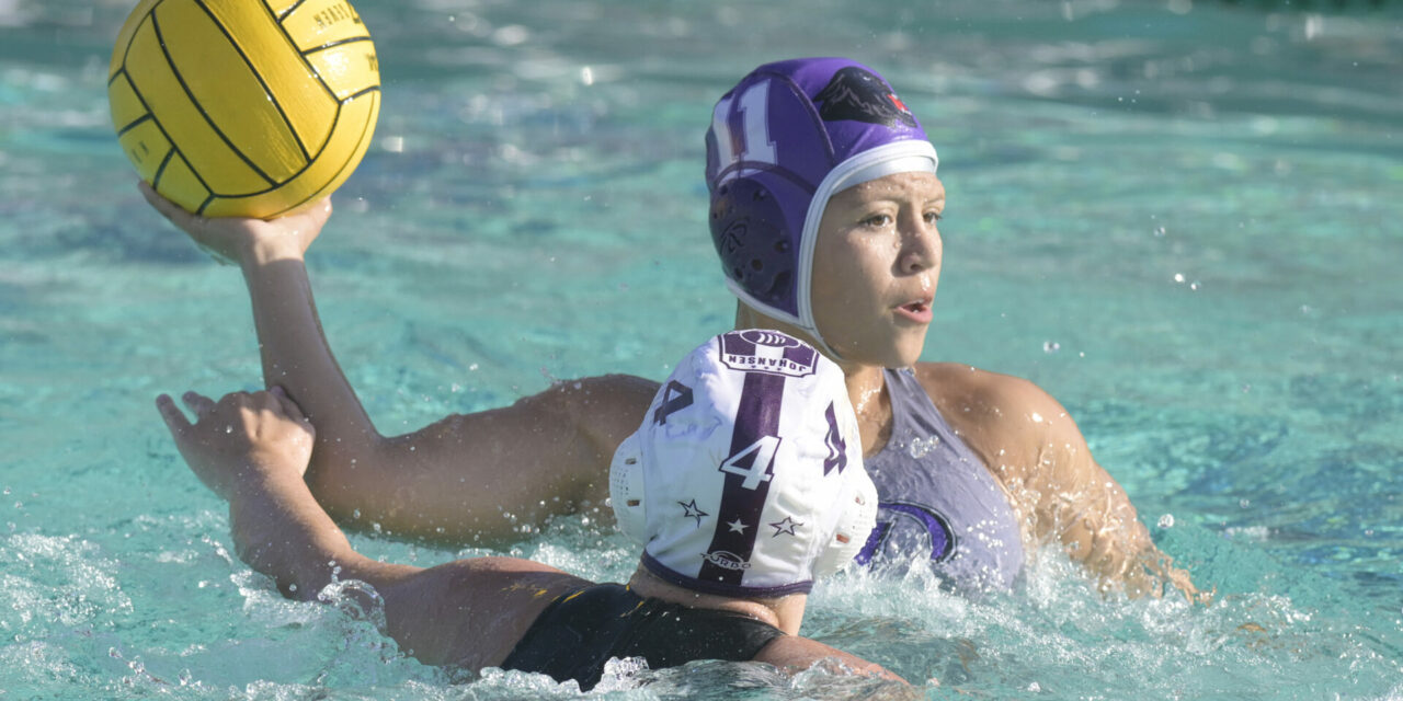 Pacheco Panther water polo boys top Johansen; girl’s team comes up short