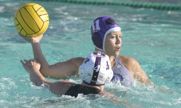 Pacheco Panther water polo boys top Johansen; girl’s team comes up short