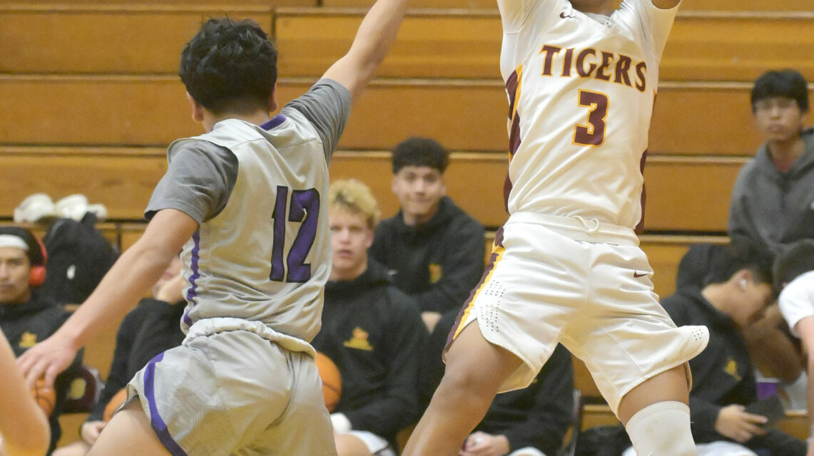 <strong>Tiger JV, frosh claim wins</strong>