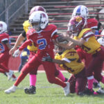 MIGHTY MITES ACTION