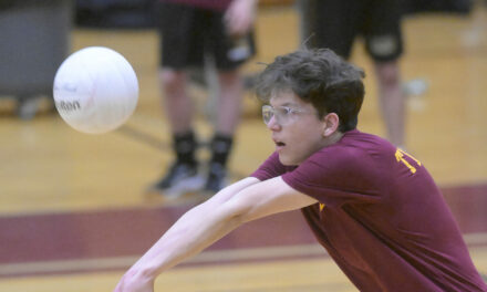 Los Banos Tiger boys volleyball team defeated by Mt. House in WAC match