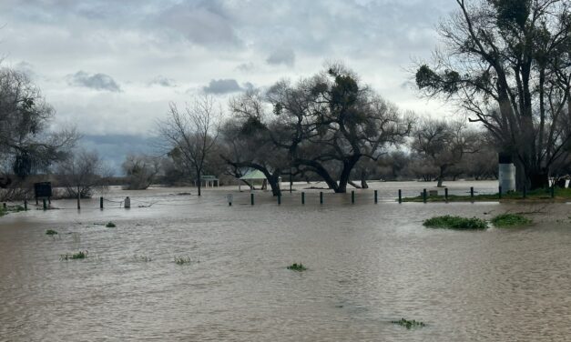 ANXIOUS TIMES IN FIREBAUGH