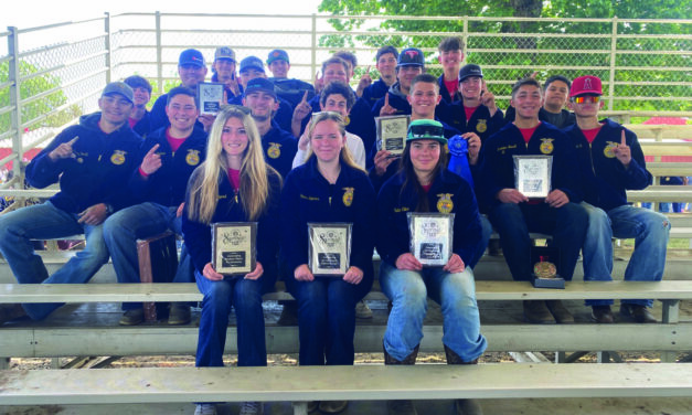 LBHS Ag team gets big win at Spring Fair