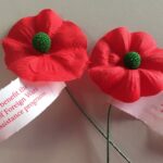 Memorial Day & meaning of Buddy Poppies