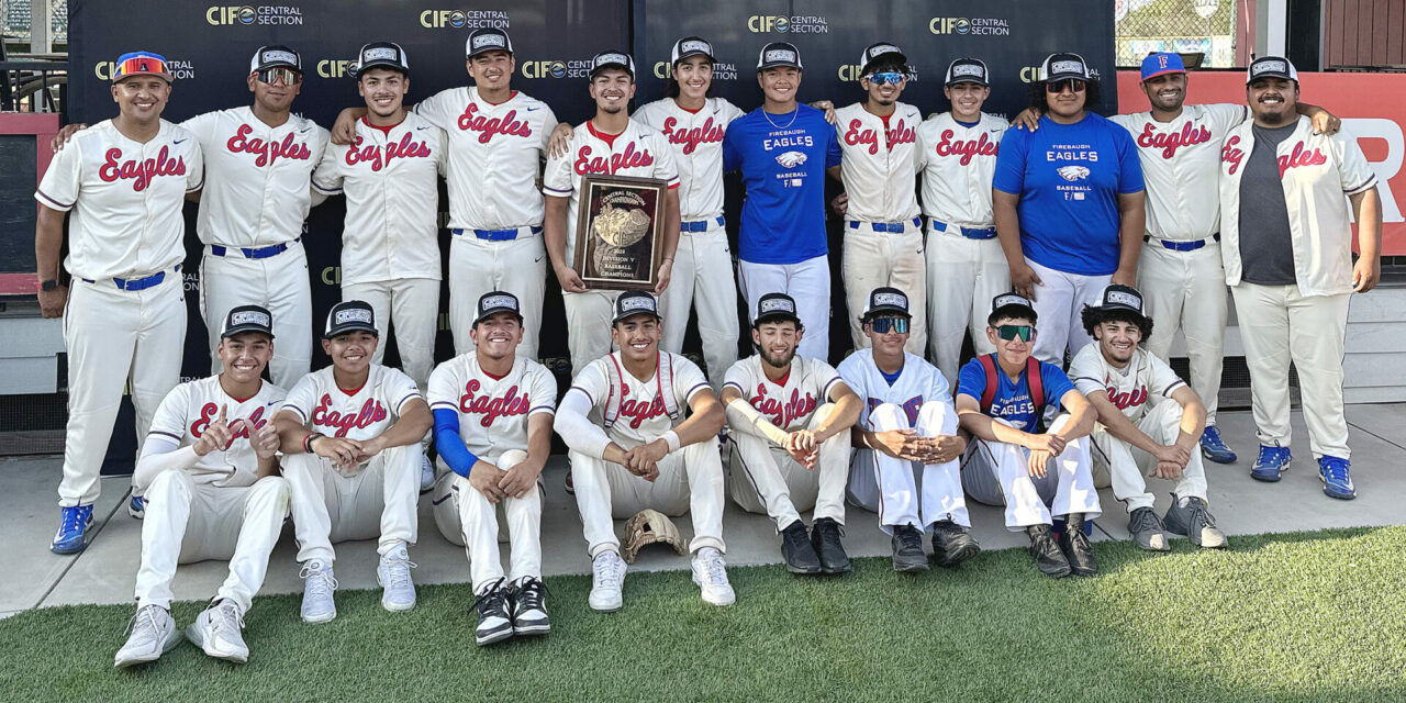 Bautista leads Eagles to Section baseball title