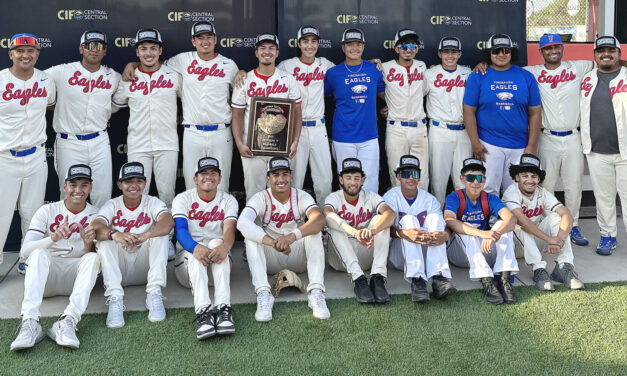 Bautista leads Eagles to Section baseball title