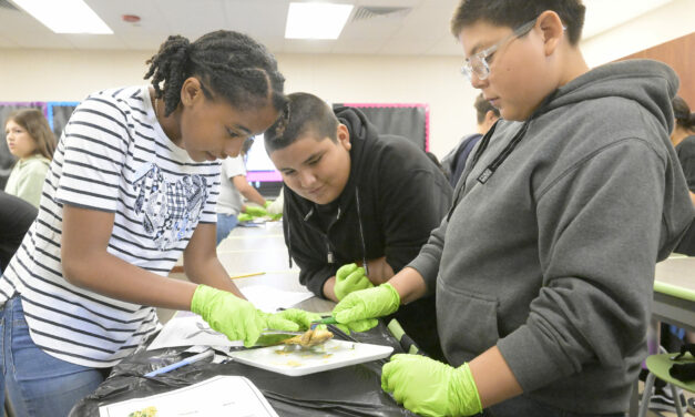 Frog dissections spark excitement among LB fifth-graders