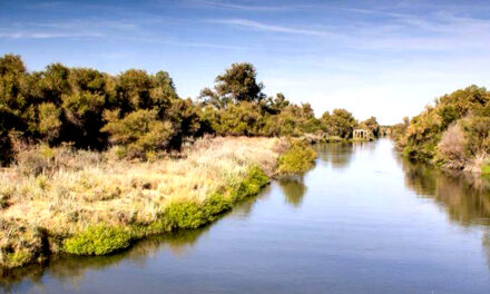 THE SAN JOAQUIN RIVER