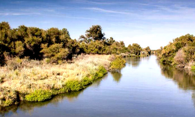 THE SAN JOAQUIN RIVER