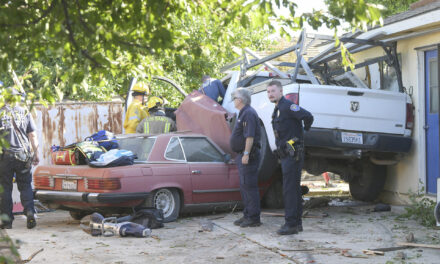 PICKUP CRASHES INTO BACKYARD