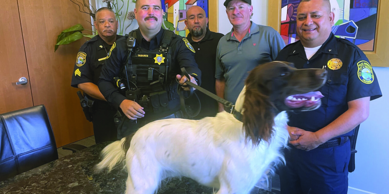 Donation helps Firebaugh Police purchase new; K-9;  ‘Luca’ will serve as drug-detection canine