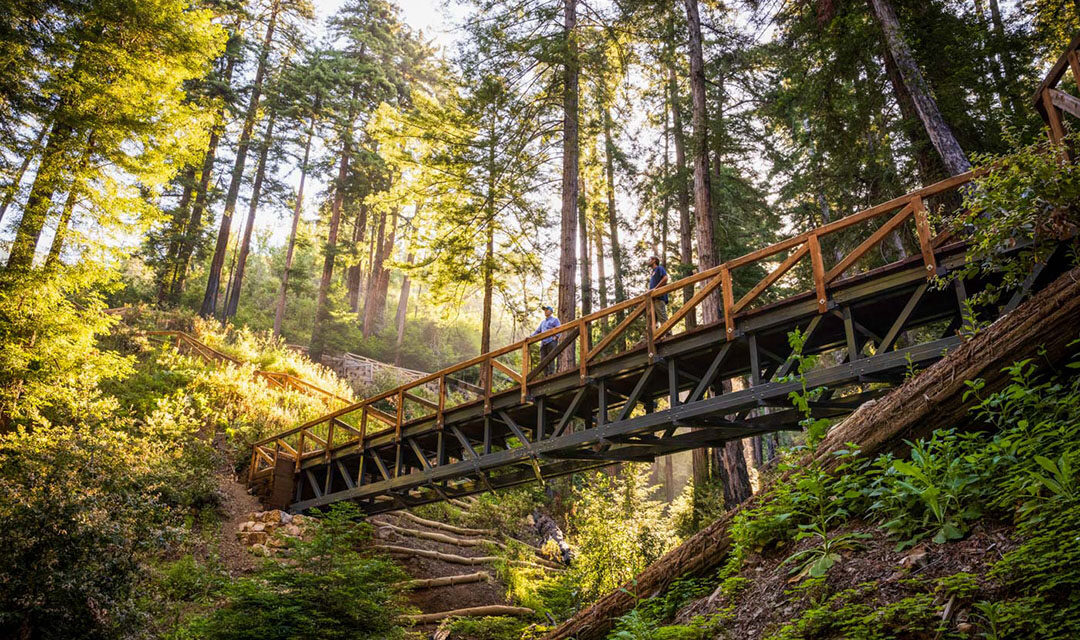 Big Sur: California’s rugged & pristine coastline