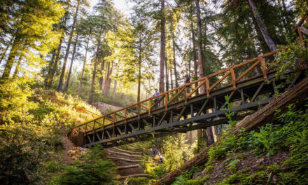 Big Sur: California’s rugged & pristine coastline