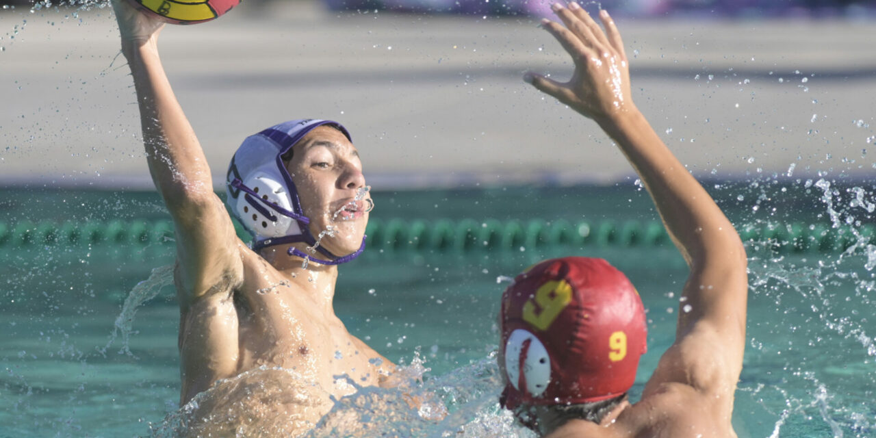 Pacheco wins cross-town boys water polo  