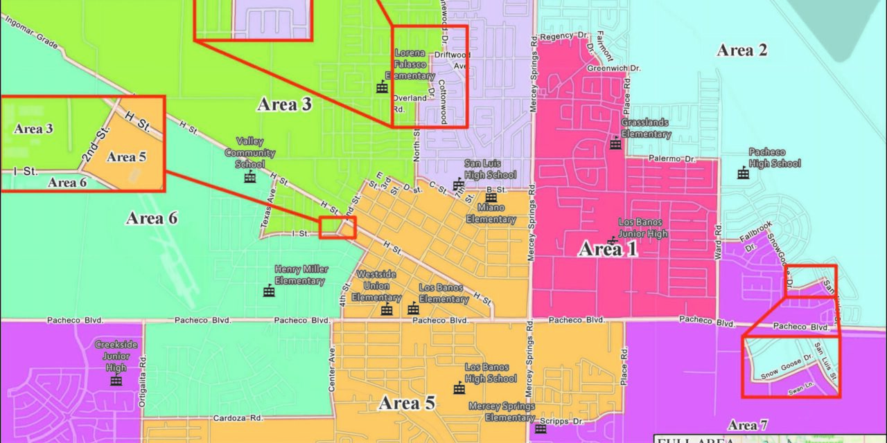 Contested elections include school board positions