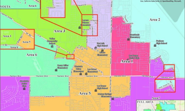 Contested elections include school board positions