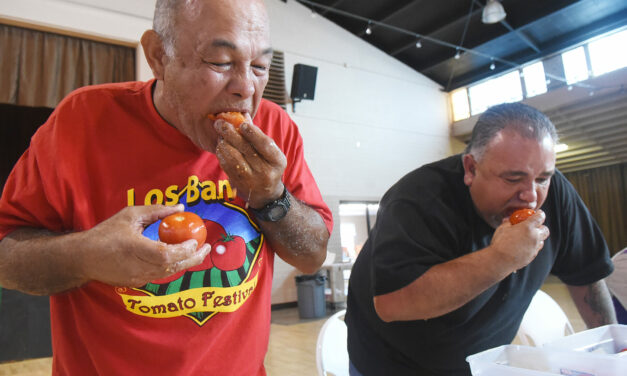 Tomato eating contest planned for festival