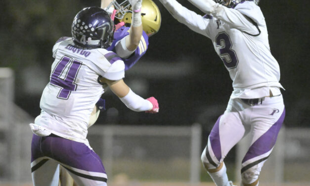 Pacheco loses a heart breaker in OT against Livingston