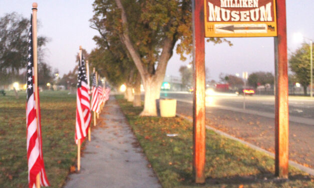 Pacheco Park hosts over 50 flags that remember WWII veterans