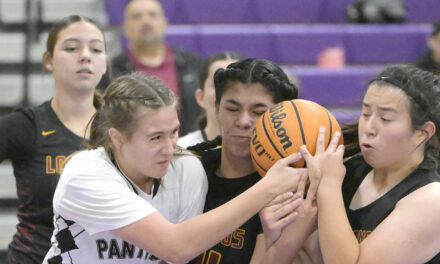 Tigers defeat Panthers in final crosstown basketball game