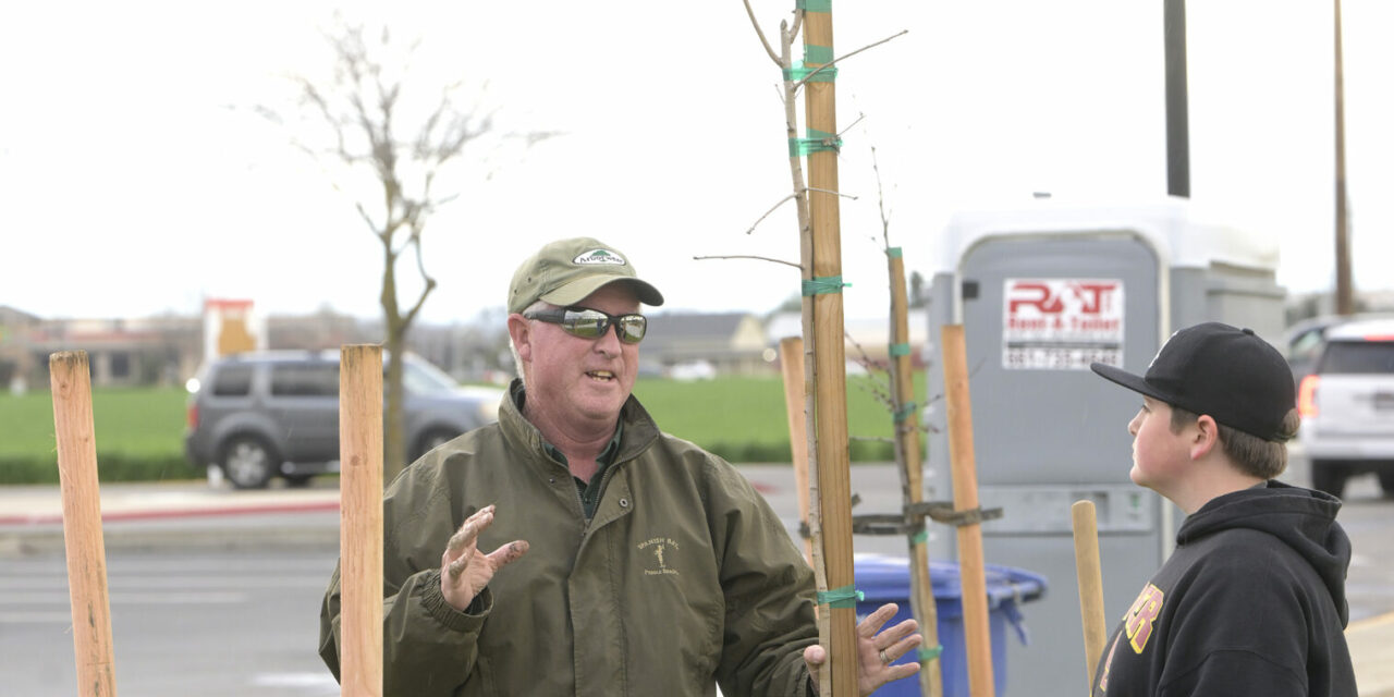 Councilmembers, school band and arborist part of this Friday’s Arbor Day event