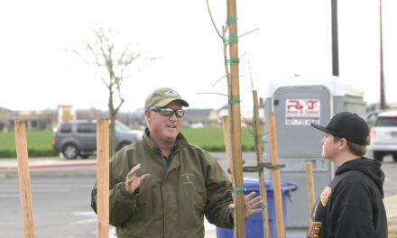 Councilmembers, school band and arborist part of this Friday’s Arbor Day event