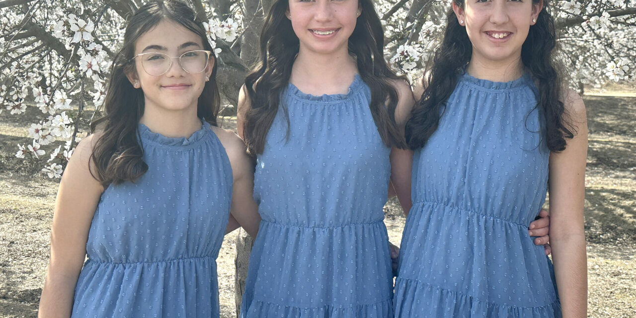Dos Palos D.E.S. Association to host annual Festa
