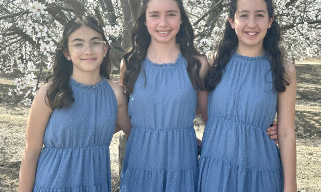 Dos Palos D.E.S. Association to host annual Festa