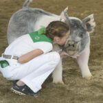 That’s a wrap! Spring Fair sees strong attendance