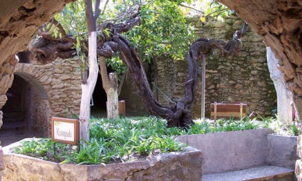 Coolest place in the Raisin Capital is 10-acre Baldassare Forestiere Underground Gardens