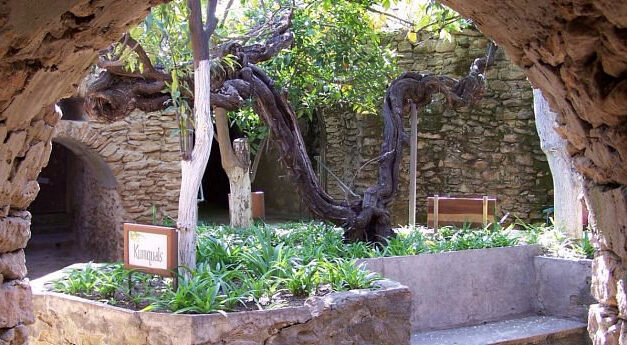 Coolest place in the Raisin Capital is 10-acre Baldassare Forestiere Underground Gardens