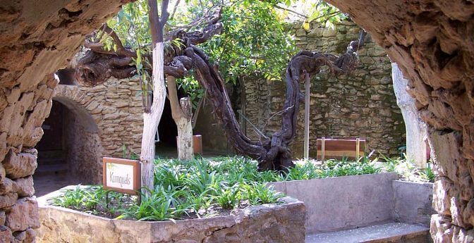 Coolest place in the Raisin Capital is 10-acre Baldassare Forestiere Underground Gardens