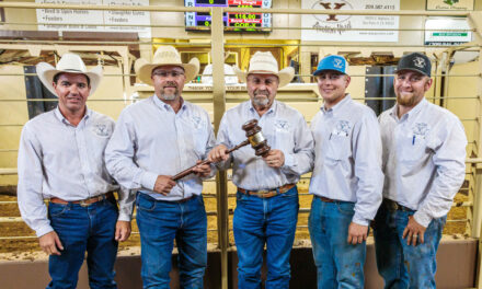 Dos Palos Y Auction Yard celebrating Diamond Jubilee