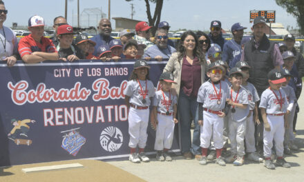 MILLION REASONS TO PLAY BALL