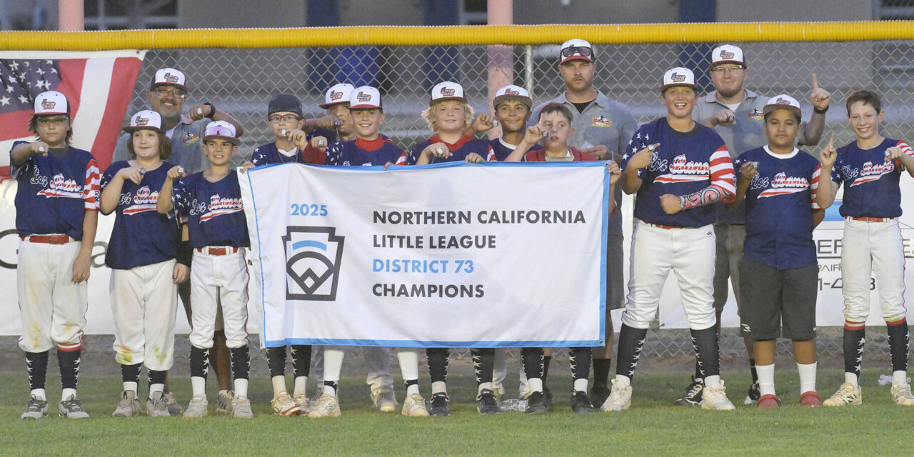 Los Banos Little League 12U All-Stars claim District 73 title