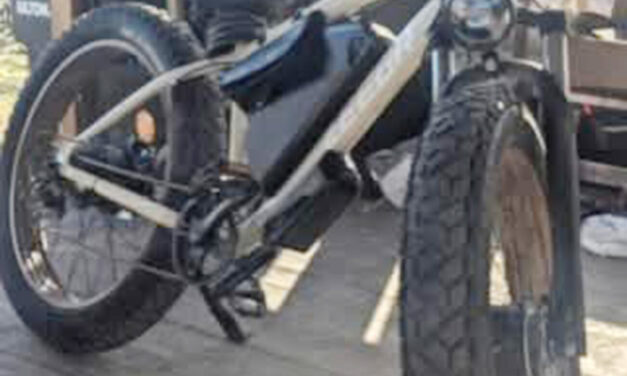 Firebaugh woman arrested following theft of e-bike