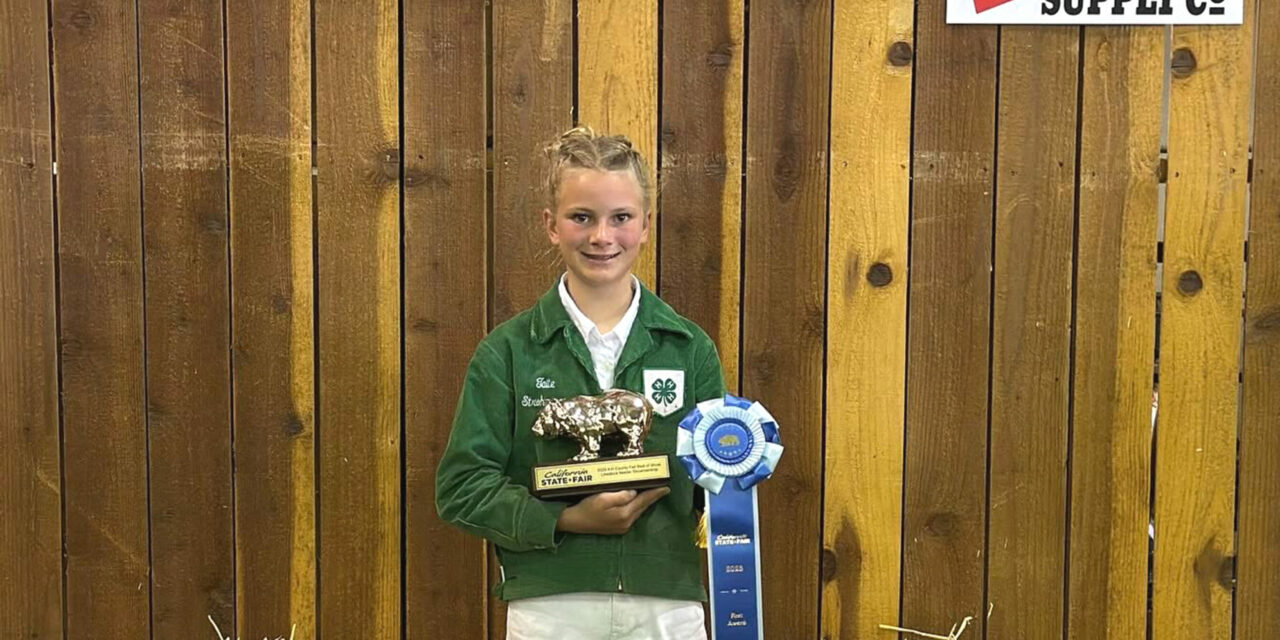 Local 4-H star brings State Fair honor home to Los Banos