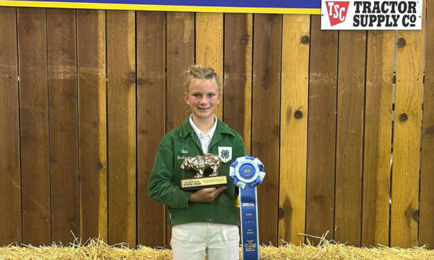 Local 4-H star brings State Fair honor home to Los Banos