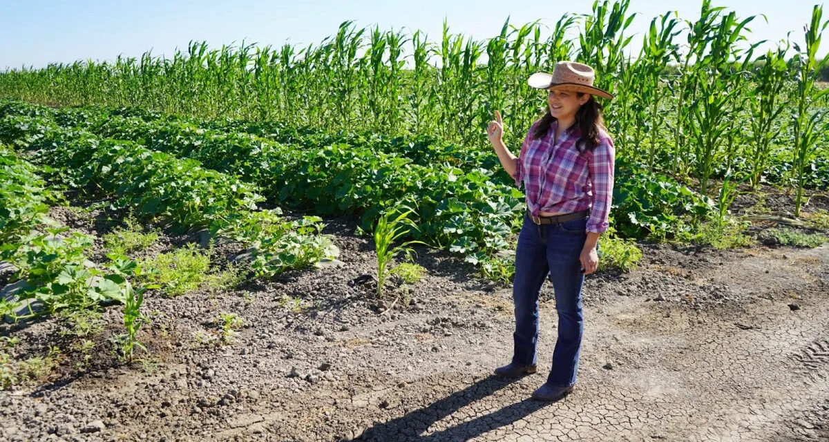 Merced’s Sweet Roots Kitchen brings leftover crops from farm to fork