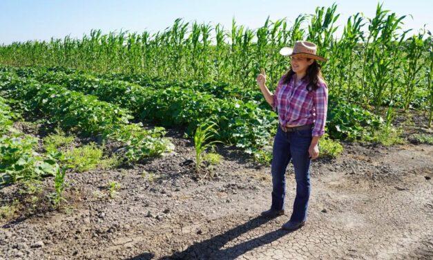 Merced’s Sweet Roots Kitchen brings leftover crops from farm to fork