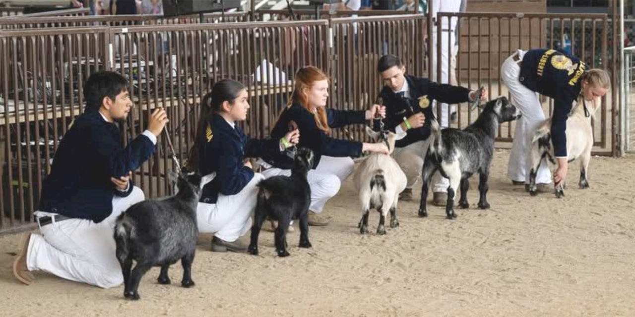 Firebaugh FFA Chapter members earn awards at 2025 Madera District Fair