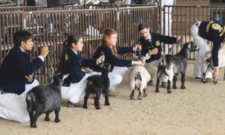 Firebaugh FFA Chapter members earn awards at 2025 Madera District Fair