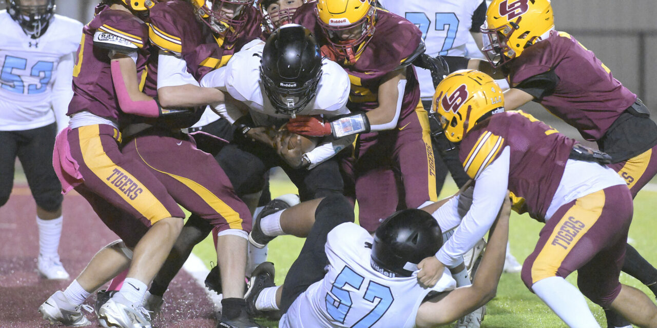 Tigers frosh win 6th straight game