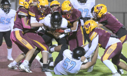 Tigers frosh win 6th straight game