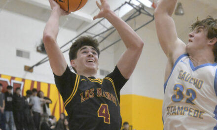 All three Tiger boys basketball teams close out the 2026 season with victories.