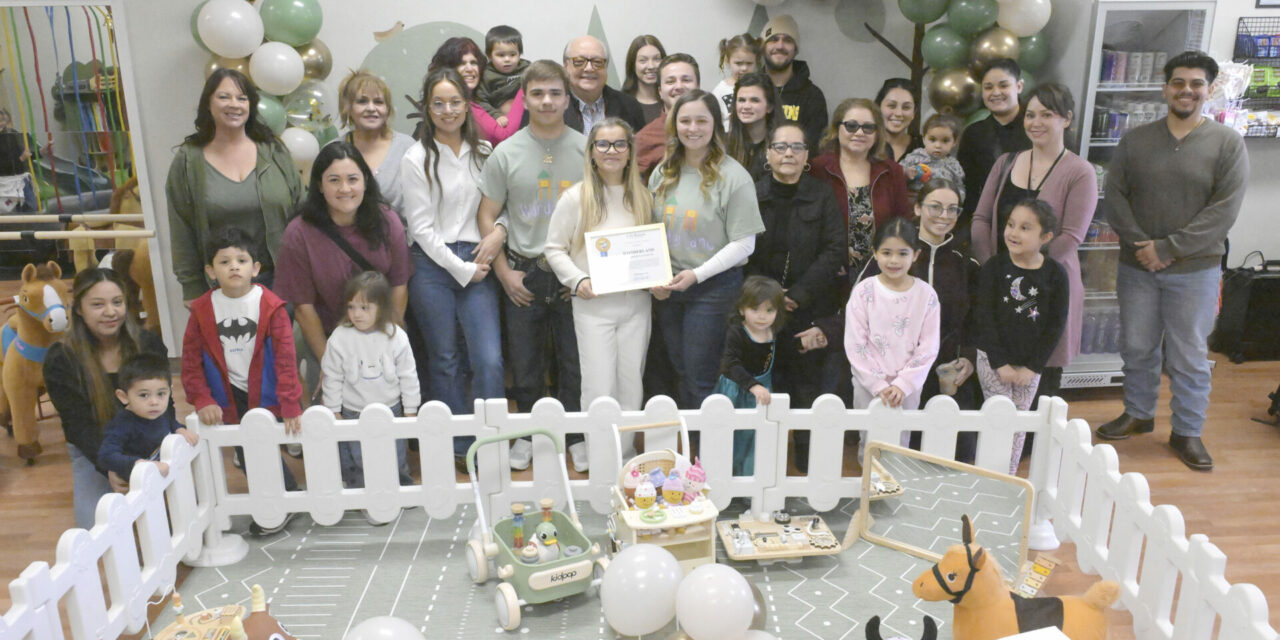 Wonderland Indoor Playground brings new family play space to Los Banos